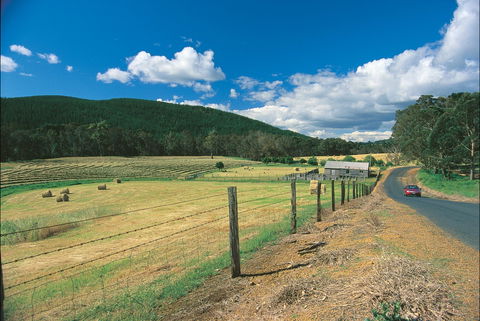 Blackwood River Tourist Drive - Accommodation Brunswick Heads 0