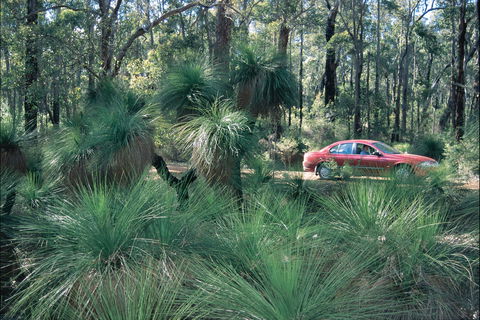 Blackwood River Tourist Drive - Accommodation Brunswick Heads 2