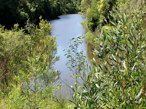 Blue Gum Hills Regional Park - Accommodation Brunswick Heads 1