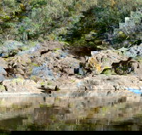 Boonoo Boonoo National Park - Accommodation Brunswick Heads