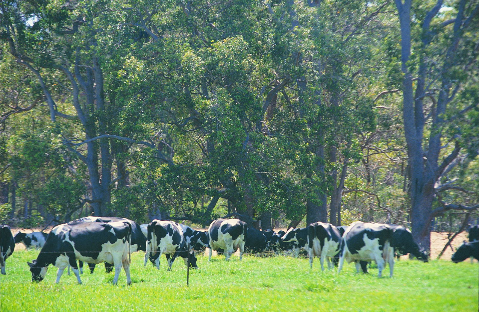 The Plains WA Accommodation Brunswick Heads