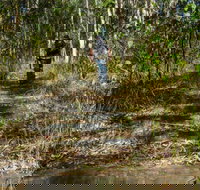 Cliff Face track - Accommodation Brunswick Heads