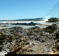 Coastal Walks - Bermagui - Accommodation Brunswick Heads