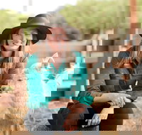 Creswick Woollen Mills - Accommodation Brunswick Heads