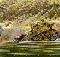 Creswick Regional Park - Accommodation Brunswick Heads