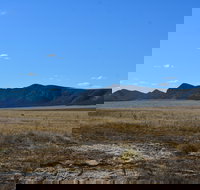 Darke Peak Scenic Drive - Accommodation Brunswick Heads