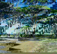 Dumbleyung - Accommodation Brunswick Heads