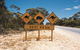 Eyre Highway - thumb 1