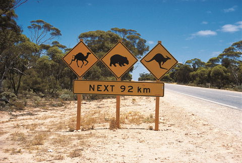 Eyre Highway - Accommodation Brunswick Heads 1