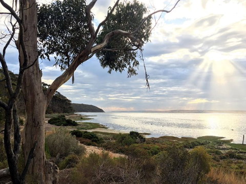 Fish Cannery Walking Trail - Accommodation Brunswick Heads 0