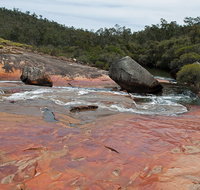 FR Berry Reserve - Accommodation Brunswick Heads