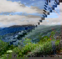 Gloucester Falls Walking Track - Accommodation Brunswick Heads