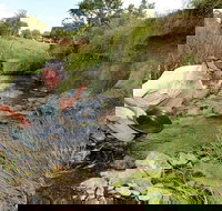 Gold Panning Deep Creek - Accommodation Brunswick Heads