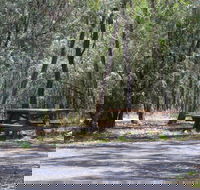 Goonoowigall State Conservation Area - Accommodation Brunswick Heads