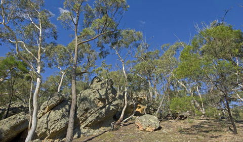 Green Track - Accommodation Brunswick Heads 0