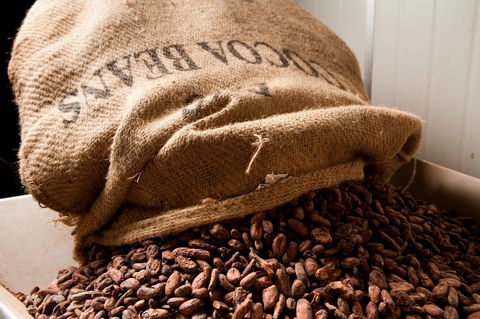 Haigh's Chocolates Visitor Centre - Accommodation Brunswick Heads 2