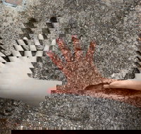 Hands of Fame Park - Accommodation Brunswick Heads