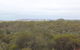 Karlkurla Bushland Park - thumb 1