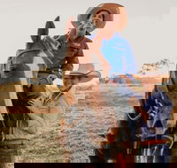 Katherine Outback Experience - Horse Riding Experience - Accommodation Brunswick Heads