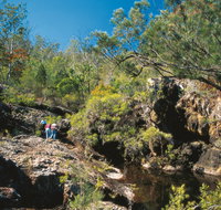 Kroombit Tops National Park - Accommodation Brunswick Heads