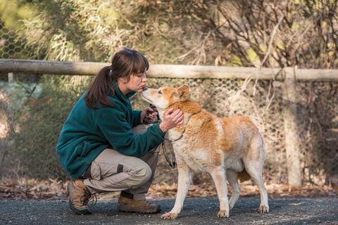 Kyabram Fauna Park - Accommodation Brunswick Heads 1