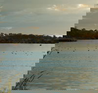 Lake Inverell Reserve - Accommodation Brunswick Heads
