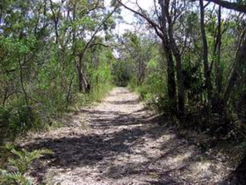 Lanky's Walk - Accommodation Brunswick Heads 0