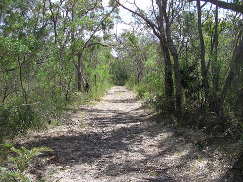 Lanky's Walk - Accommodation Brunswick Heads 2