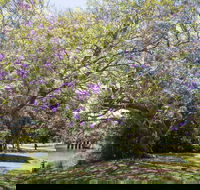 Leis Park - Accommodation Brunswick Heads