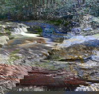 Liffey Falls Reserve - Accommodation Brunswick Heads