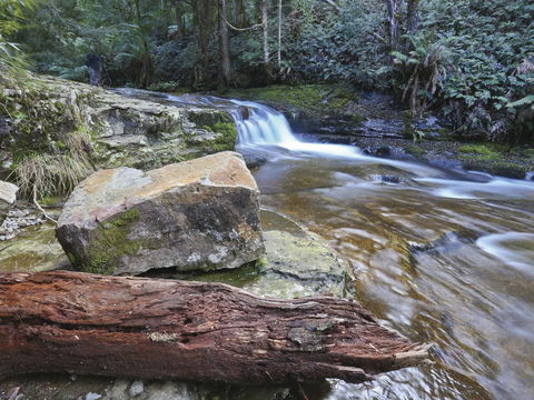 Liffey Falls Reserve - Accommodation Brunswick Heads 0