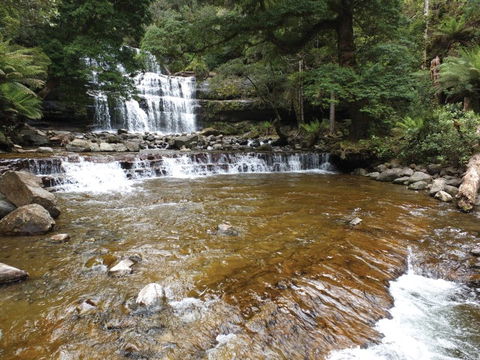 Liffey Falls Reserve - Accommodation Brunswick Heads 1