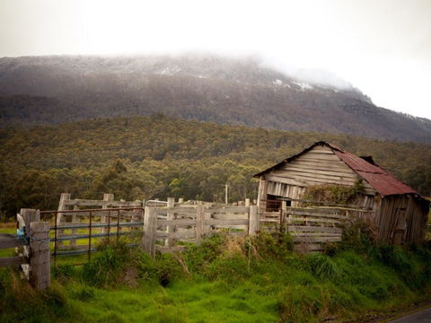Liffey Falls Reserve - Accommodation Brunswick Heads 2