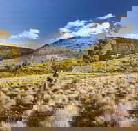 Little Mountain Walking Track - Accommodation Brunswick Heads