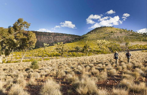 Little Mountain Walking Track - Accommodation Brunswick Heads 0