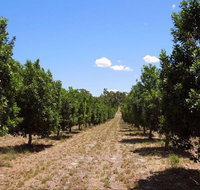 MacNuts WA Shop and Factory - Accommodation Brunswick Heads