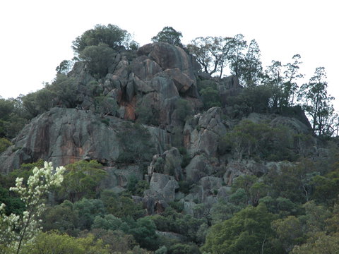Mount Yarrowyck Nature Reserve - Accommodation Brunswick Heads 0