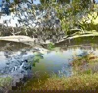 Murray Valley National Park - Accommodation Brunswick Heads