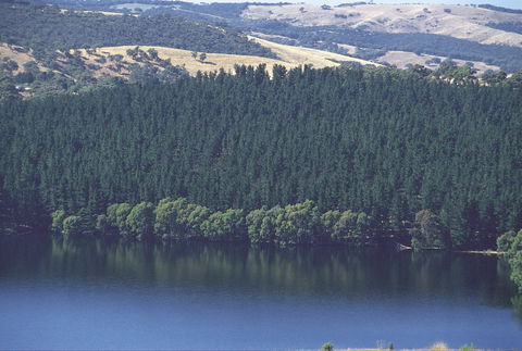 Myponga Reservoir Lookout - Accommodation Brunswick Heads 0