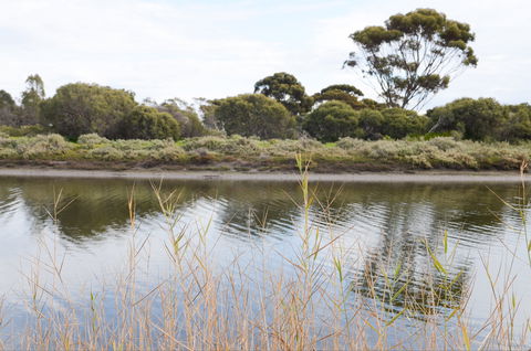 Onkaparinga River Recreation Park - Accommodation Brunswick Heads 0