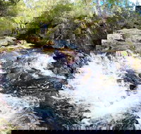 Polblue Falls - Accommodation Brunswick Heads