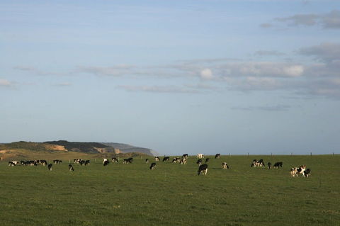 Port Campbell - Accommodation Brunswick Heads 2