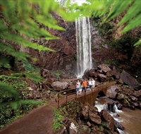 Queen Mary Falls circuit Main Range National Park - Accommodation Brunswick Heads