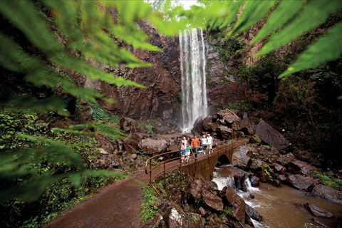 Queen Mary Falls Circuit, Main Range National Park - Accommodation Brunswick Heads 0