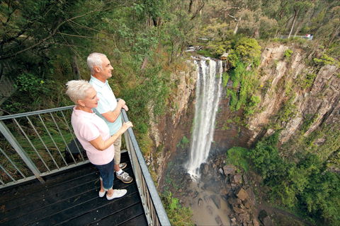 Queen Mary Falls Circuit, Main Range National Park - Accommodation Brunswick Heads 1