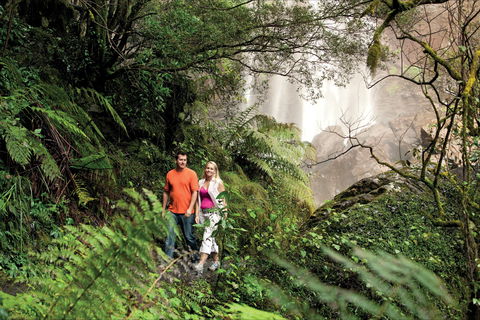 Queen Mary Falls Circuit, Main Range National Park - Accommodation Brunswick Heads 2