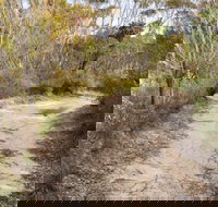 Red Rocks trig walking track - Accommodation Brunswick Heads