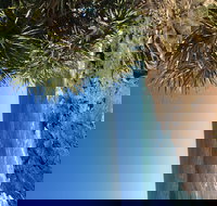 Richmond Valley Cultural Heritage Self Drive Tour - Accommodation Brunswick Heads