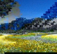 Shearer's Way - Accommodation Brunswick Heads