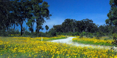 Shearer's Way - Accommodation Brunswick Heads 0